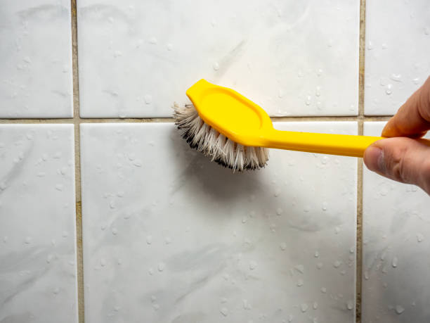 Best Mold Removal Near Me  in French Lick, IN