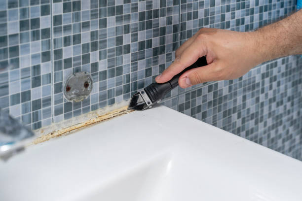Best Fast Mold Removal  in French Lick, IN